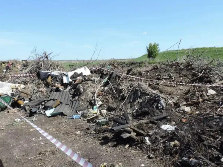 В Воронежской области возбудили дело из-за несанкционированной свалки