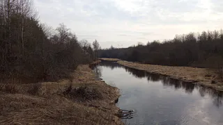 В Воронежской области подтоплены четыре низководных моста