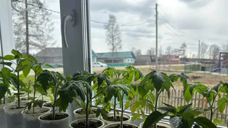 В Лискинском районе официально закрепили нового главу сельского поселения