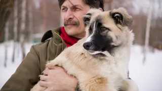Кавказская овчарка: 10/10, что никогда её не возьму и врагу не посоветую - и вот почему