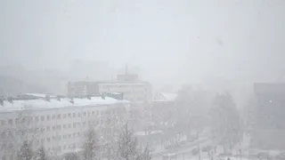 В регионе объявили жёлтый уровень опасности: прогноз погоды в Воронежской области на 28 января