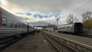 Провела ночь в узбекском плацкарте: неприятный опыт, который отложится в памяти навсегда
