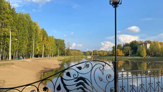 В Воронеже создадут новый парк для активностей населения