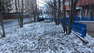 Прогноз погоды на зиму: синоптики предупреждают о сильных морозах