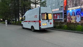 Пять человек пострадали в ДТП со "Шкодой" и "Хондой" в Воронежской области