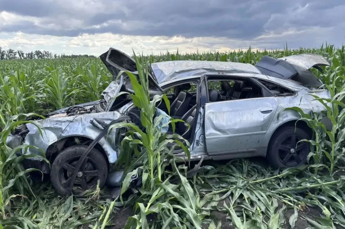 В Лискинском районе водитель автомобиля "Ауди" стал виновником гибели пассажира
