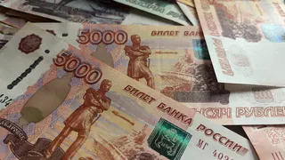 В Воронежской области директор фирмы получил 10 лет колонии за аферу с оборудованием на 115 миллионов рублей