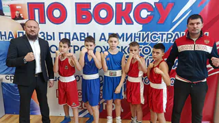 Юные боксёры из Лисок успешно выступили на престижном турнире