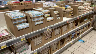 Роскачество проверило куриные яйца: результаты исследования