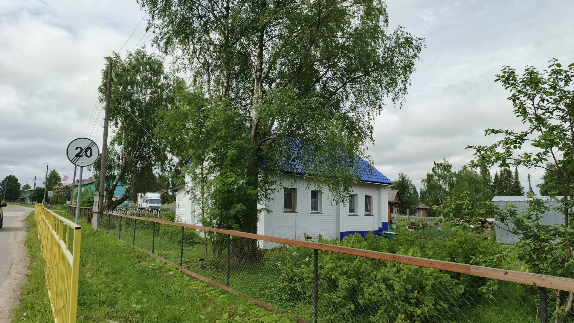 Лучше бы не сажала! 7 деревьев киллеров, губящие участки. Запомните эти породы