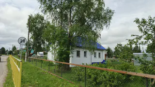 Лучше бы не сажала! 7 деревьев киллеров, губящие участки. Запомните эти породы