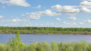 В Воронежской области 17 августа ожидается тёплая и солнечная погода