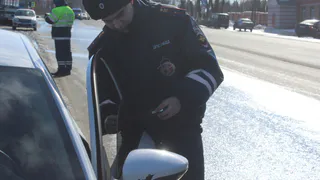 Адвоката из Воронежа лишили статуса за частые нарушения правил дорожного движения 