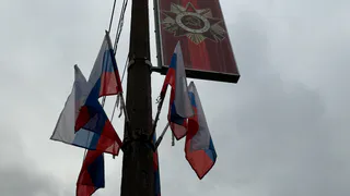 Власти Воронежской области поздравили жителей с Днём народного единства