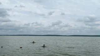 В Воронеже на берегу озера Большое выявили незаконный сброс грунта