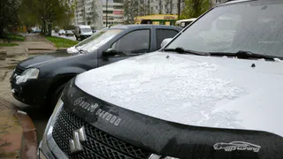 Новая волна аномального холода начнется уже в эти выходные: синоптики предупредили о заморозках и затяжных дождях