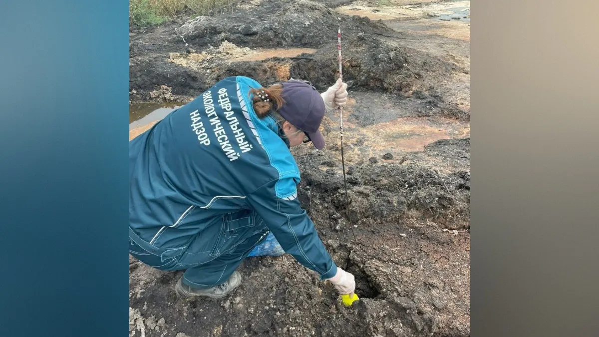 Воронежского производителя молока обязали заплатить 830 тысяч за порчу почв