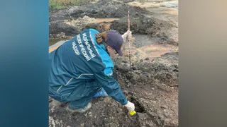 Воронежского производителя молока обязали заплатить 830 тысяч за порчу почв