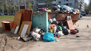 В Воронежской области мэрия пригрозила сменой мусорного оператора из-за провала с вывозом отходов