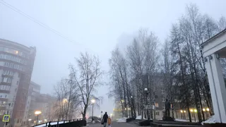 В Воронежской области 19 марта ожидаются туман и до +10 градусов