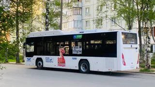 Воронежцам предлагают пройти опрос о работе общественного транспорта