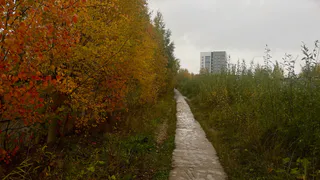 Синоптики прогнозируют маловетреную погоду и отсутствие осадков в Воронежской области 30 сентября