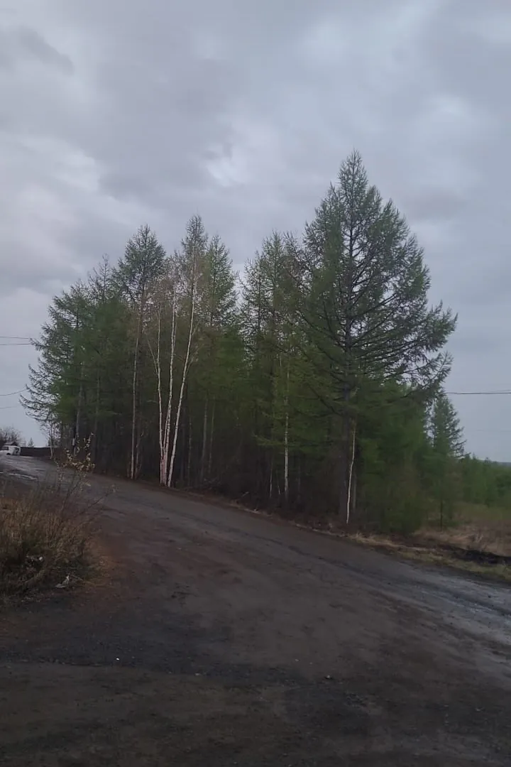 «В августе будет полный финиш». Синоптики сообщили пугающий прогноз