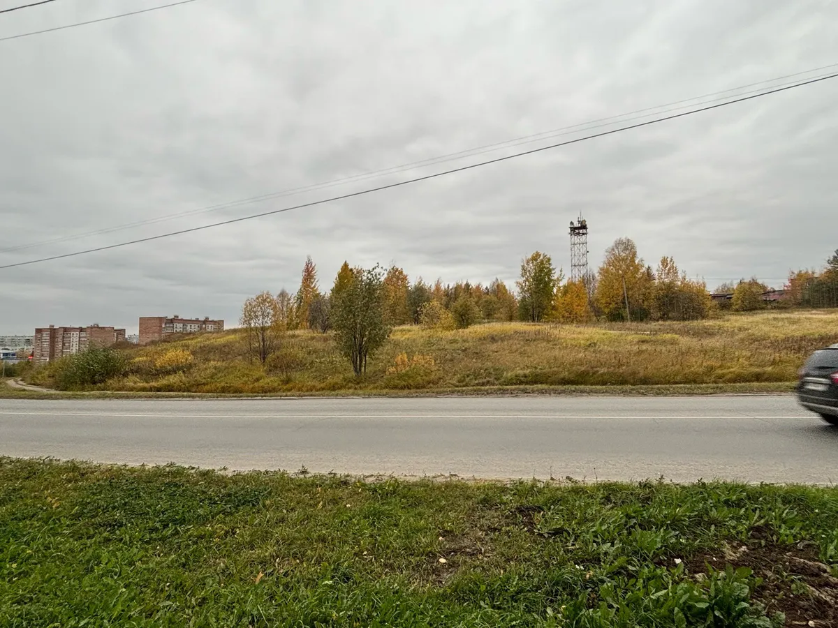 Синоптики спрогнозировали пасмурную и зябкую погоду в Воронежской области на 2 октября