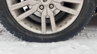 В Воронежской области задержали жителя, который под видом малоимущего незаконно получил выплату от государства