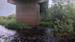 В Воронежской области осталось 2 затопленных моста