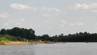 Воронежская область продолжает испытывать на себе воздействие аномальной жары