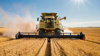 Золотые колоски: воронежские аграрии приступили к уборке зерновых культур