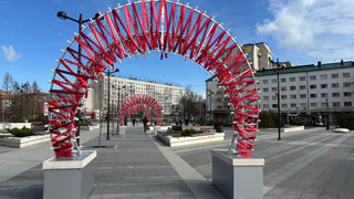 В Воронежской области отметили День молодежи