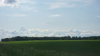 Экосистема Воронежской области пополнится новой территорией