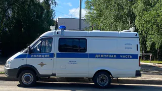 Угонщика задержали правоохранители в Лискинском районе