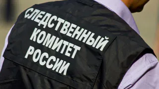 В Воронежской области обрушение балкона с котом привело к возбуждению уголовного дела по требованию Бастрыкина