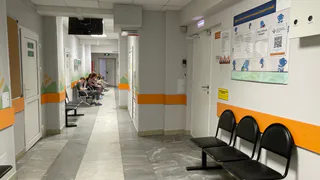 В Роспотребнадзоре опровергли слухи о вспышке хантавируса в Воронежской области