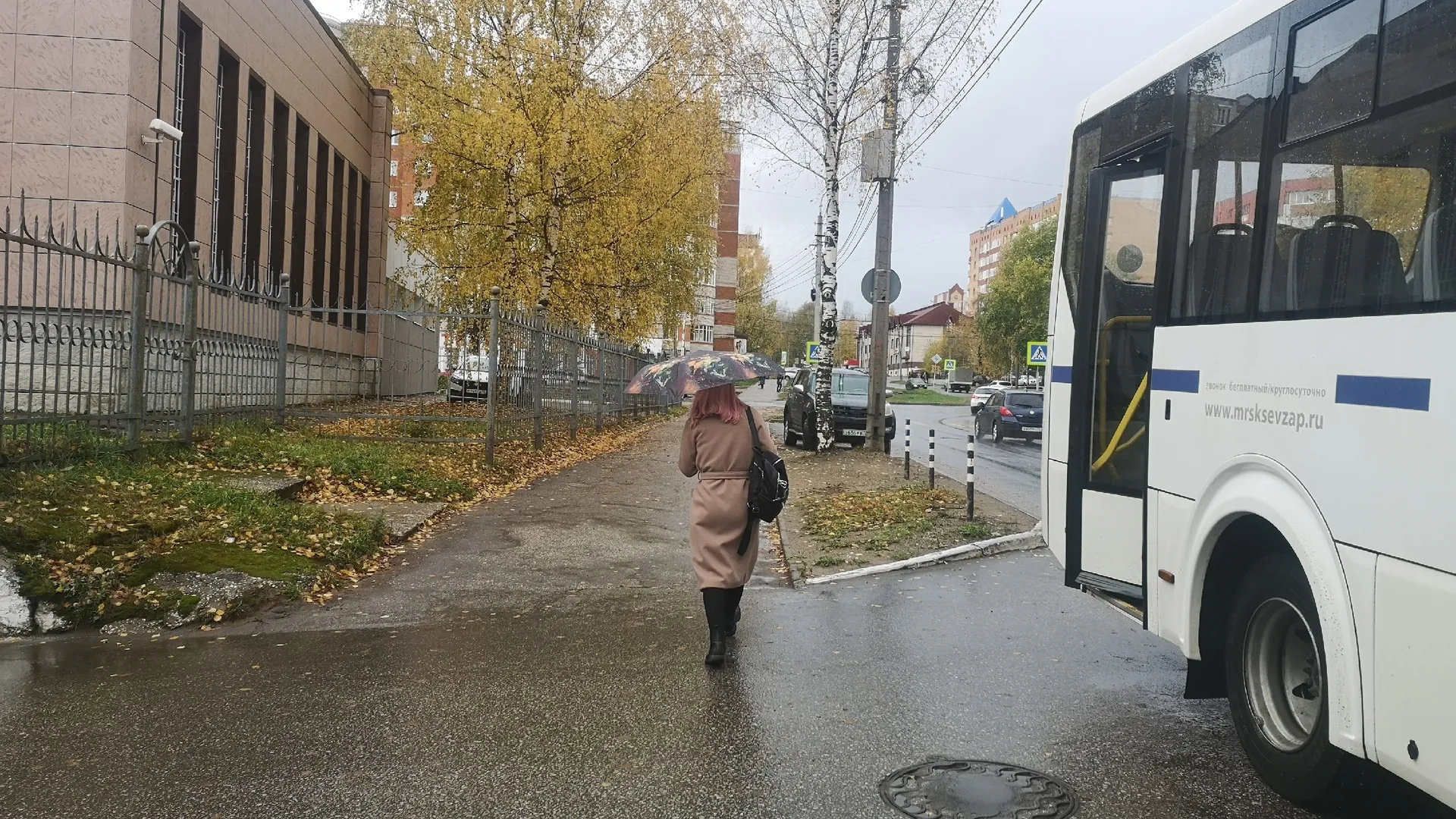 Печень "дурела с этой прикормки": как восстанавливали печень в СССР и почему так никто не делает сейчас