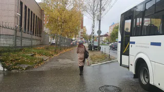 Печень "дурела с этой прикормки": как восстанавливали печень в СССР и почему так никто не делает сейчас