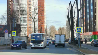 Госдума отклонила 6 законопроектов, которые защищали интересы обычных водителей. Что теряют автомобилисты в 2025