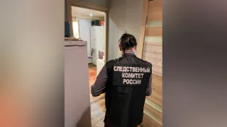 Суд готовится к вынесению приговора жителю Лисок за покушение на убийство соседа