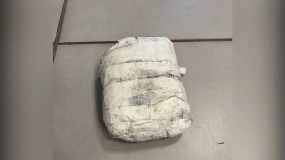 В Воронежской области задержали девушку с крупной партией запрещённых веществ