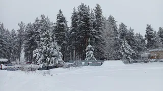 Вильфанд рассказал, ждать ли россиянам настоящей зимней погоды в начале декабря