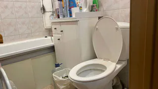 Добавляю 2 ложки в унитаз перед сном: утром даже вековые отложения смоются без ёршика