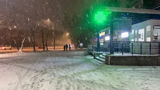 Погода в Воронежской области 20 февраля: ночью снег, днём до -2 градусов