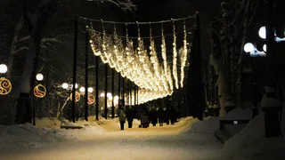 Индустриальный парк в Лисках вошёл в число самых загруженных в Воронежской области