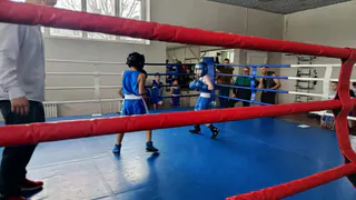 В Лисках состоялся турнир по боксу, приуроченный ко Дню защитника Отечества