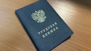 В Воронежской области выросла конкуренция на рынке труда