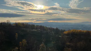 В Воронежском заповеднике подвели итоги года