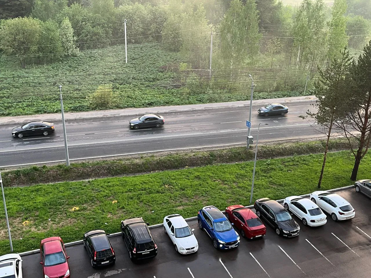 28 ноября воронежцам запретят парковать автомобили в городе